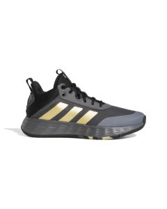 Adidas Ownthegame 2.0