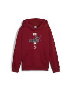 Puma Power Graphic Hoodie FL Jr