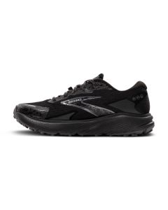 Brooks Divide 5 GTX