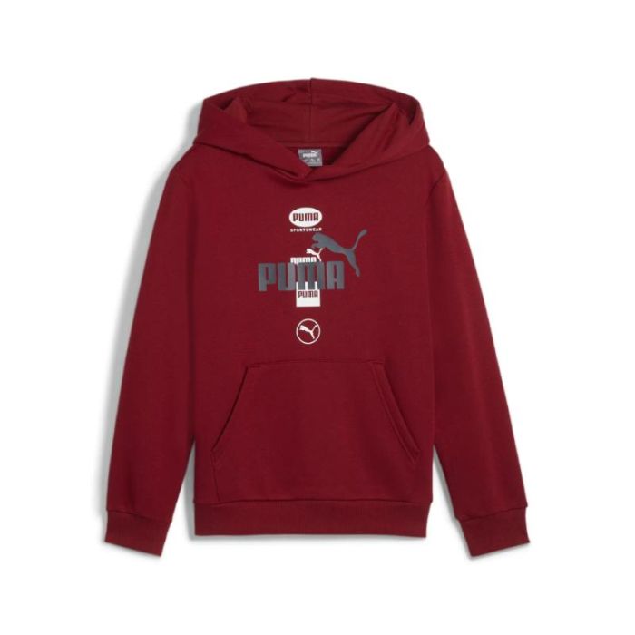 Puma - Puma Power Graphic Hoodie FL Jr